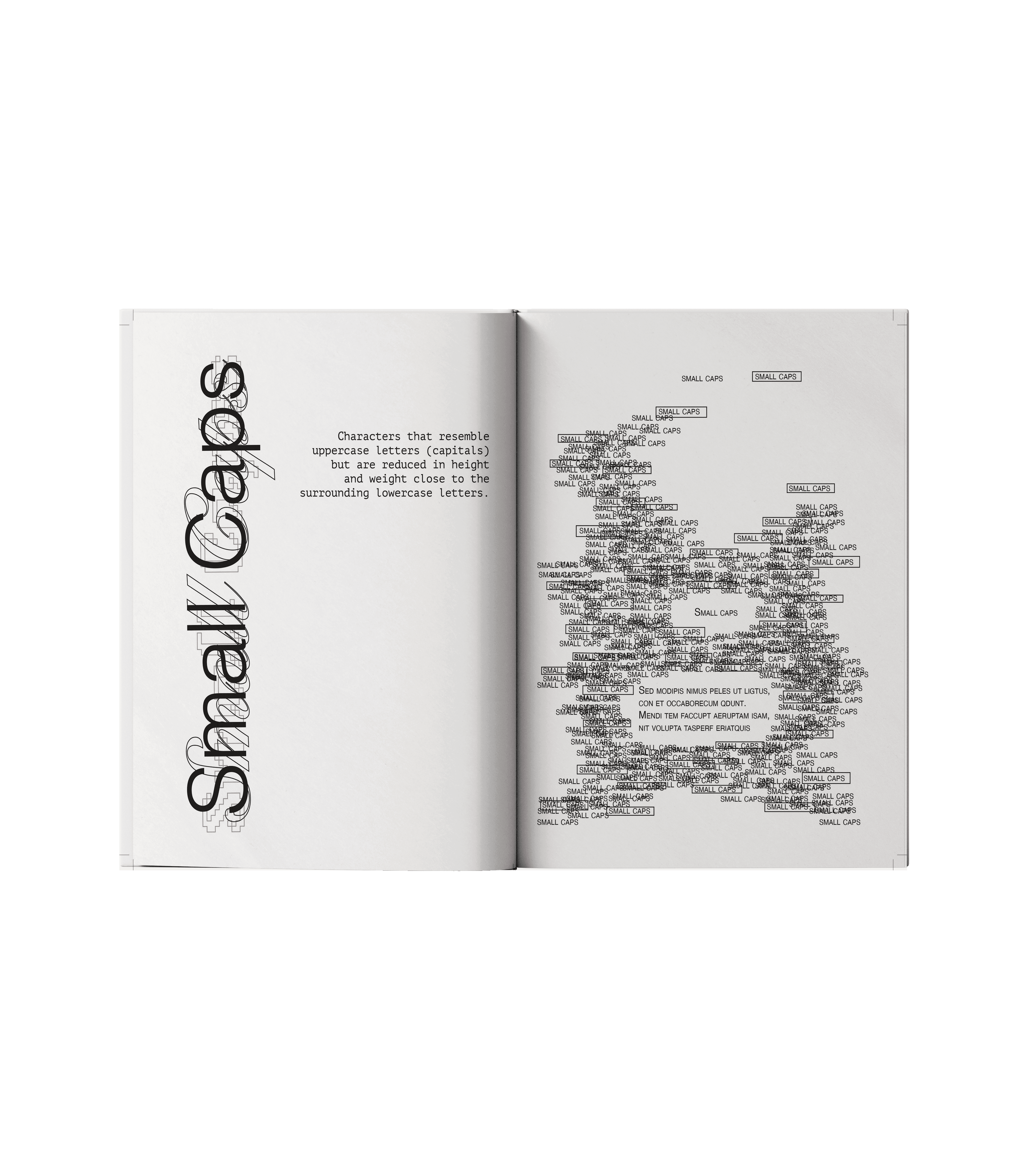 Typography Dictionary specimen card 17